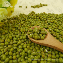 Kleine grüne Mungobohne der neuen Ernte 2012, Hebei-Ursprung
